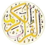 القران الكريم بصوت 100قارئ android application logo